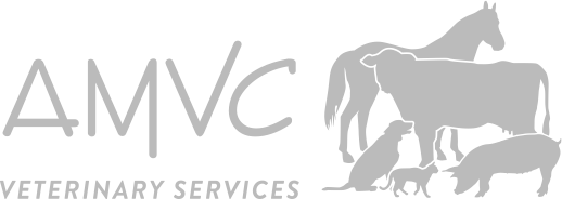 amvc logo